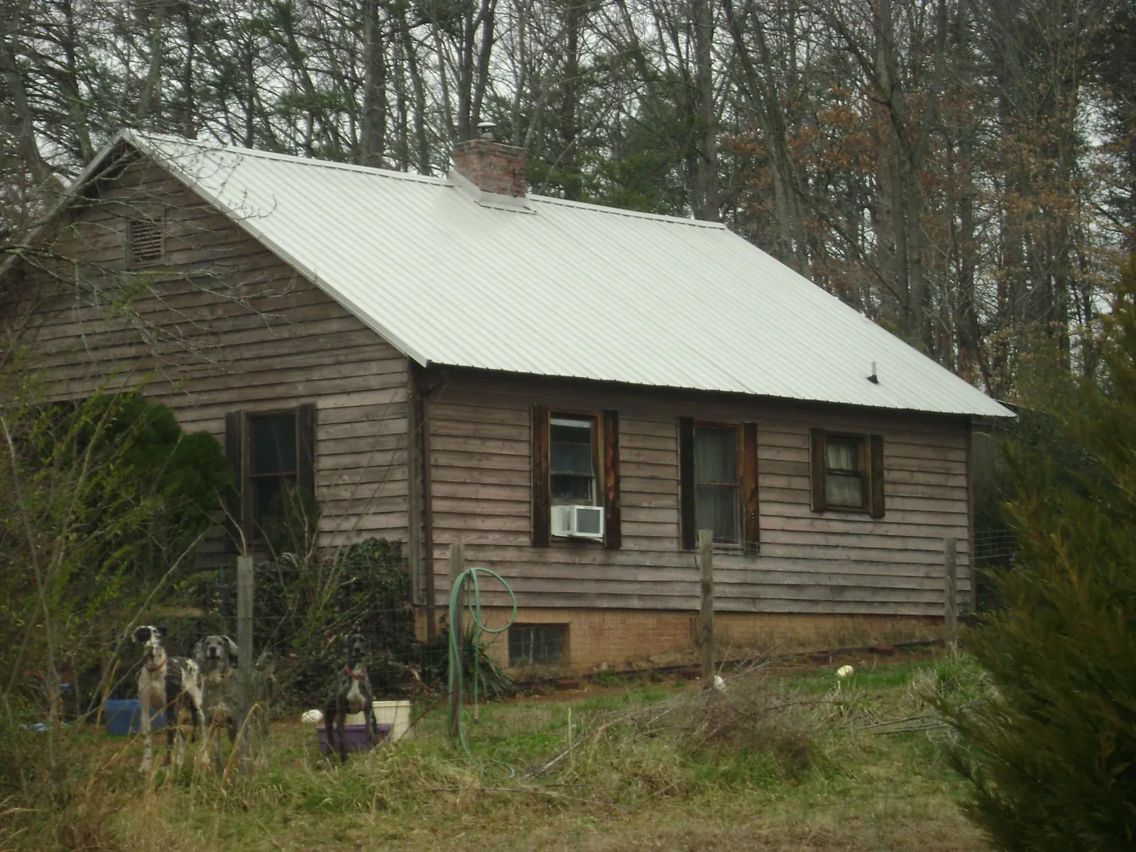 White metal roof on an old wood sided farmhouse, from a Asphalt Shingle Roof Repair job in Millwood